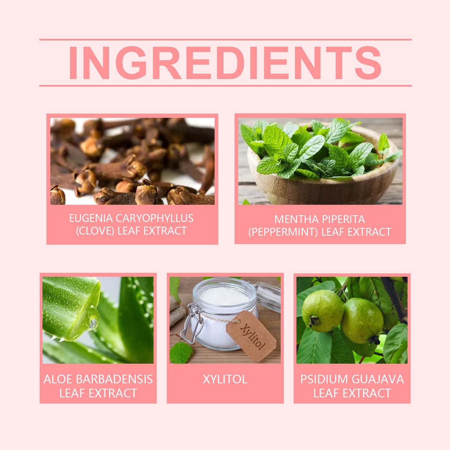 Herbal Brightening Toothpaste