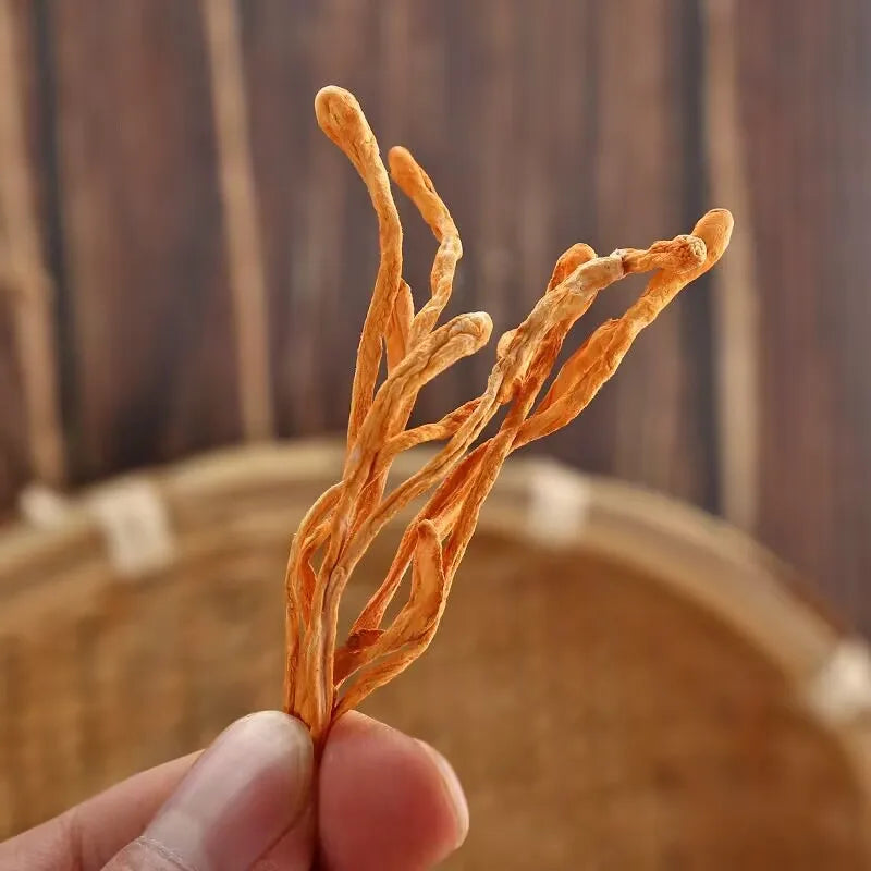 Dried Cordyceps Flowers