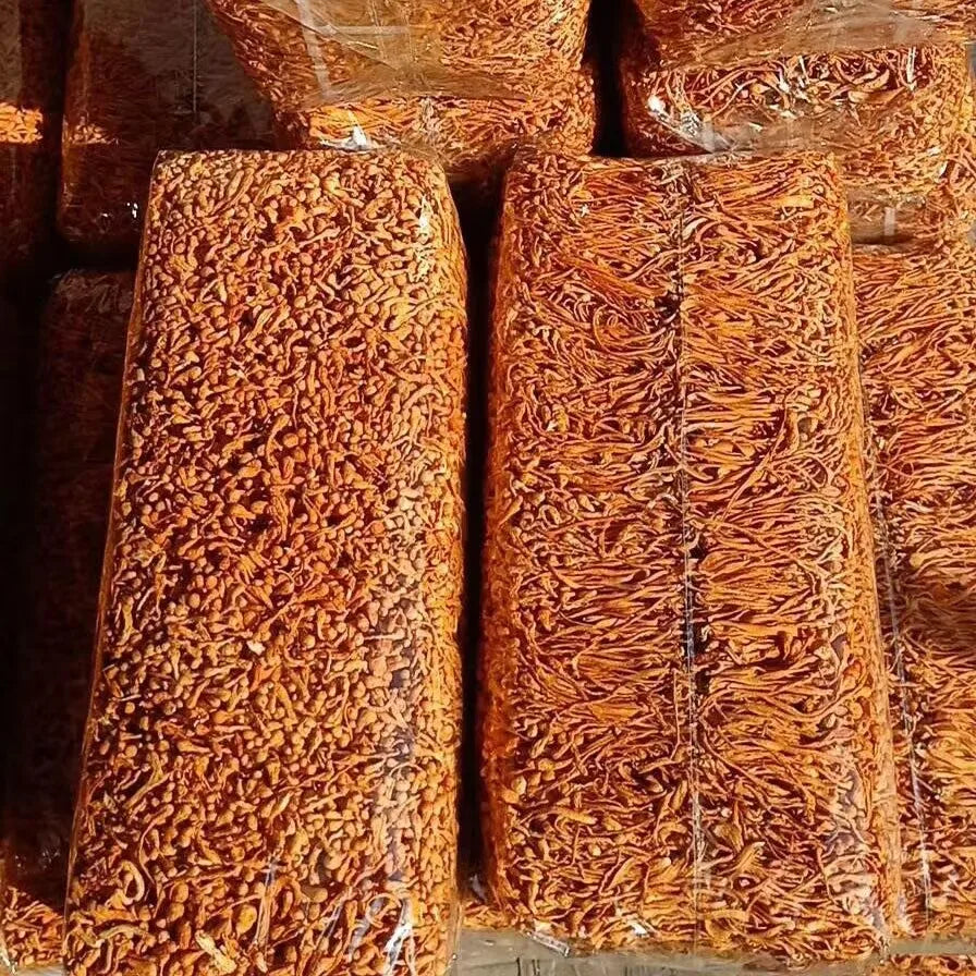 Dried Cordyceps Flowers