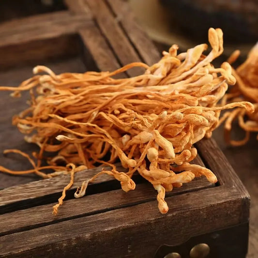 Dried Cordyceps Flowers