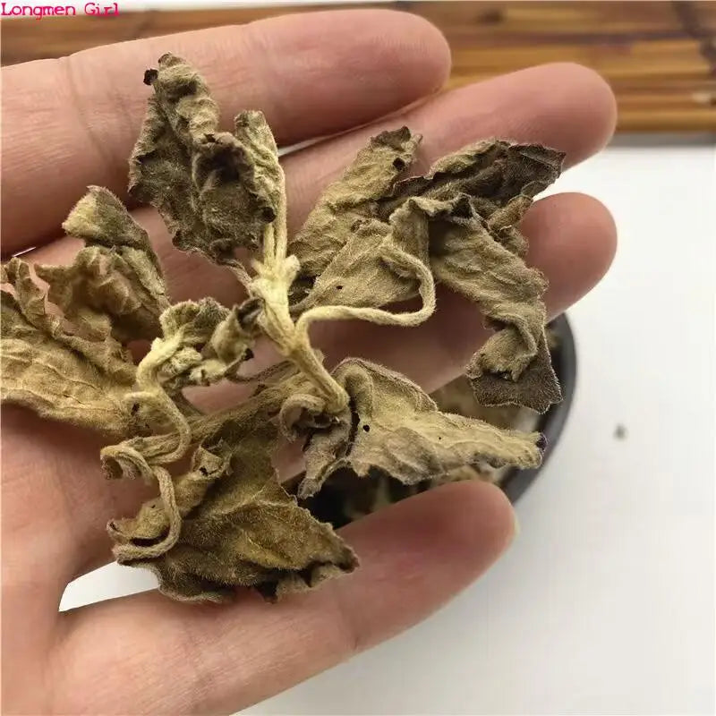 Premium Natural Dried Patchouli Leaves